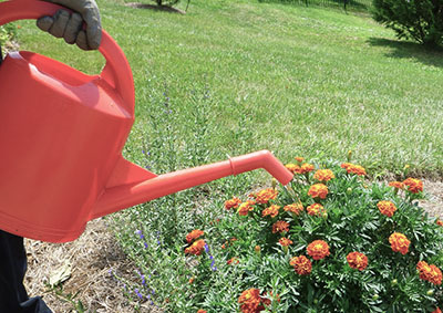 Using Watering Can