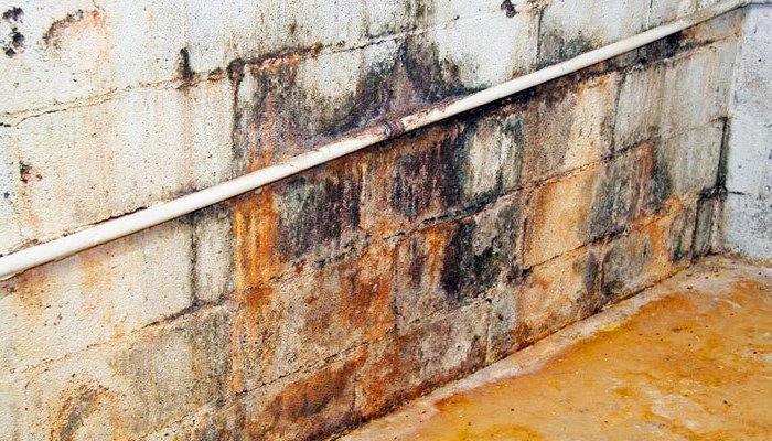 What is water seepage?