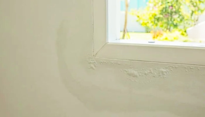 Is it possible to detect water seepage before buying a home?