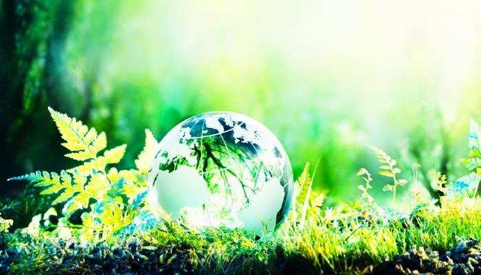Environmental considerations and sustainability